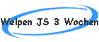 Welpen JS 3 Wochen