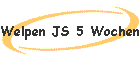 Welpen JS 5 Wochen