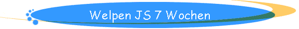 Welpen JS 7 Wochen