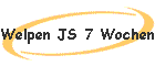 Welpen JS 7 Wochen