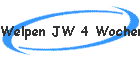 Welpen JW 4 Wochen