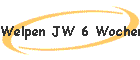 Welpen JW 6 Wochen