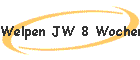 Welpen JW 8 Wochen
