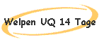 Welpen UQ 14 Tage