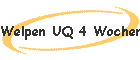 Welpen UQ 4 Wochen