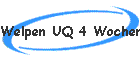Welpen UQ 4 Wochen