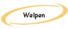 Welpen