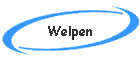 Welpen