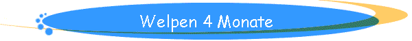 Welpen 4 Monate