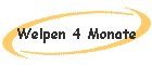 Welpen 4 Monate