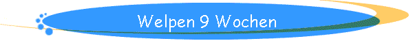 Welpen 9 Wochen